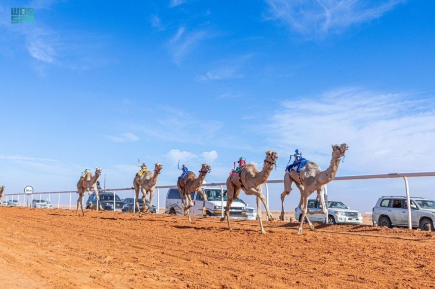 سباقات الهجن في مهرجان الملك عبدالعزيز للإبل - واس