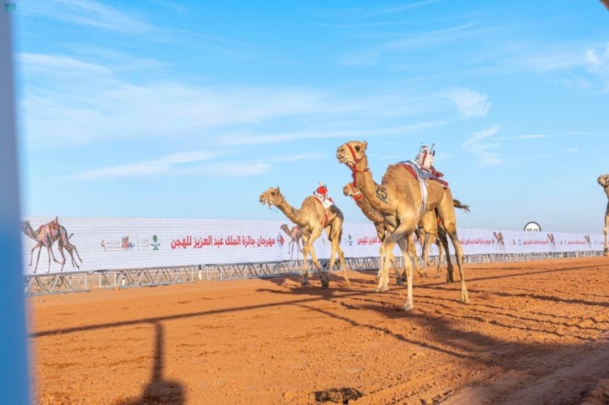 مهرجان الملك عبدالعزيز للإبل يشهد زخمًا اقتصاديًا كبيرًا - واس