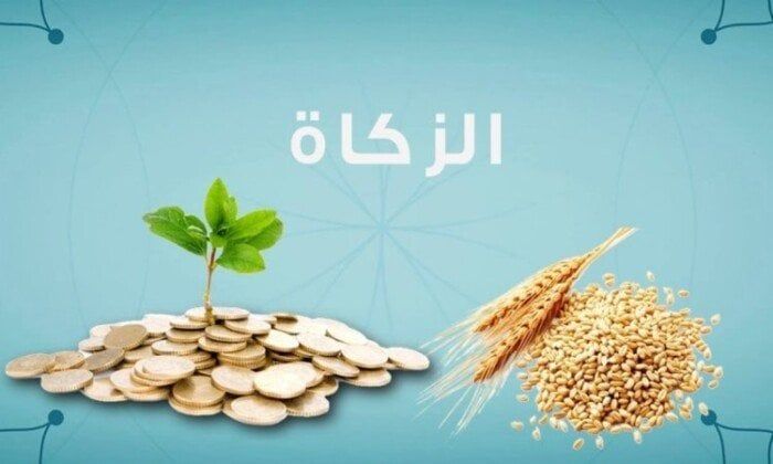 مقدار زكاة الفطر دار الإفتاء المصرية