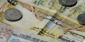 استقرار سعر الدرهم الإماراتي اليوم الخميس 21 نوفمبر 2024 - عرب فايف