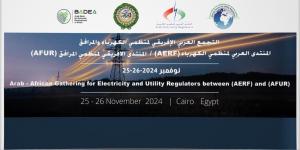 الاثنين..انطلاق فعاليات مؤتمر منظمي الطاقة 2024 بالجامعة العربية - عرب فايف