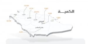 صرف 261 مليون ريال مستحقات الدفعة السادسة لمزارعي القمح المحلي - عرب فايف