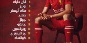 ليفربول يعادل النتيجة أمام نيوكاسل.. محمد صلاح يصنع ويسجل في 18 دقيقة «فيديو» - عرب فايف