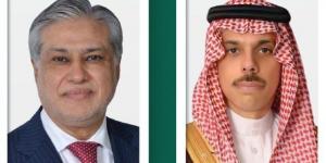 هاتفيًا.. السعودية وباكستان تبحثان العلاقات الثنائية بين البلدين - عرب فايف