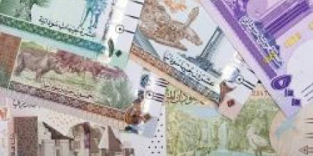 سعر الجنيه السوداني مقابل الريال السعودي اليوم الخميس 21 نوفمبر 2024 في منتصف التعاملات - عرب فايف