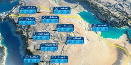 "الأرصاد": أمطار رعدية على أجزاء من جازان وعسير والباحة - عرب فايف