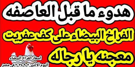 “ساسو بلدى”.. اسعار الفراخ البيضاء اليوم السبت 23-11-2024 فى الاسواق للمسهلكين والتجار - عرب فايف