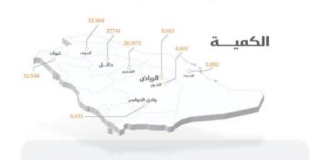 الأمن الغذائي : صرف 261 مليون ريال مستحقات الدفعة السادسة لمزارعي القمح المحلي - عرب فايف