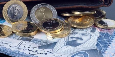 سعر الريال السعودي في مصراليوم.. الأحد 24-11-2024 - عرب فايف