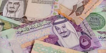 سعر الريال السعودي اليوم الإثنين 25 نوفمبر 2024 - عرب فايف