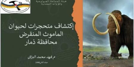 ”اليمن تحتفظ بسر قديم: أحافير الماموث تكشف عن ماضي مجهول في ذمار” - عرب فايف