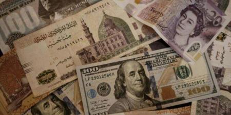 سعر الدولار اليوم مقابل الجنيه المصري اليوم الأربعاء 27 نوفمبر - عرب فايف