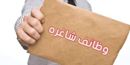 الشباب والرياضة تعلن عن وظائف بسلسلة مطاعم كبرى.. الشروط وطريقة التقديم - عرب فايف