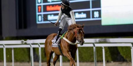 نادي سباقات الخيل ينظّم الأسبوع السابع من موسم سباقات الرياض - عرب فايف