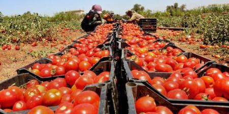 وزير الزراعة: التصدير لإسرائيل متوقف نهائياً - عرب فايف