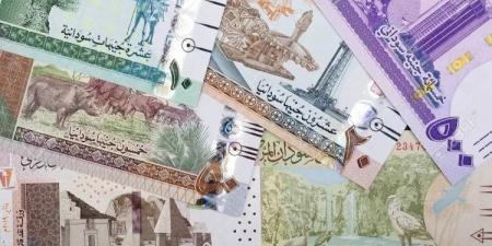 سعر الجنيه السوداني مقابل الريال السعودي اليوم الأحد 15 ديسمبر 2024 .. وصل لهذه المستويات - عرب فايف