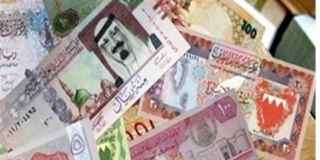 أسعار العملات العربية والأجنبية في مصر اليوم الأحد 15-12-2024 - عرب فايف