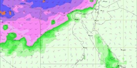 تفاصيل حالة الطقس.. منخفض جوي يؤثر على البلاد غدا الثلاثاء 24 ديسمبر - عرب فايف