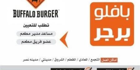 راتب يصل لـ 10.500 جنيه.. «الشباب والرياضة» توفر فرص عمل جديدة «تفاصيل» - عرب فايف