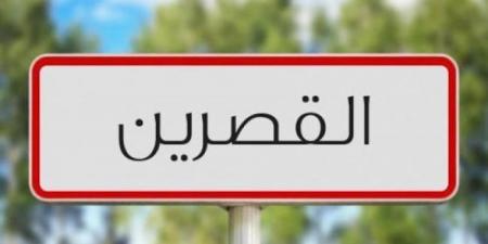 القصرين: فرع البنك التونسي للتضامن بالجهة يشرع في قبول ملفات قروض لدعم صغار الفلاحين في عمليّة جني الزّيتون (رئيس الفرع) - عرب فايف