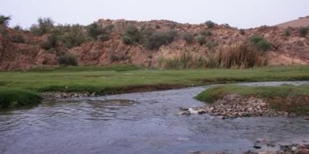 تفاصيل حزينة.. غرق فتاة بأحد غدران الطائف السعودية - عرب فايف