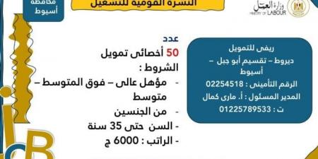 وزارة العمل تعلن عن 3215 فرصة عمل جديدة للشباب في 8 محافظات | الشروط وخطوات التقديم - عرب فايف