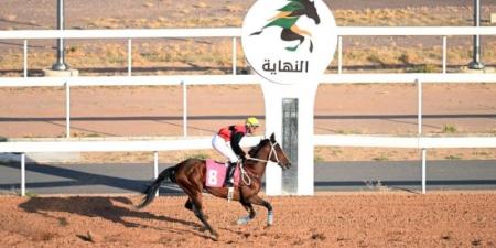 ميدان فروسية المدينة يقيم سباقه السادس للموسم الرياضي 1446هـ - عرب فايف