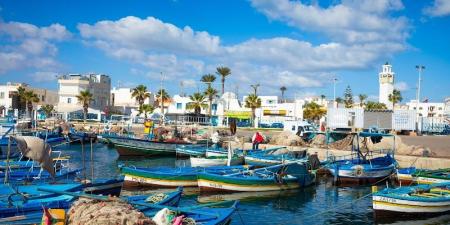 المهدية: أغلب المواد الغذائية ستكون متوفرة بالكميات المناسبة خلال شهر رمضان المعظّم - عرب فايف