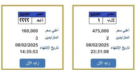 «ج.ل.ب ـ 1».. المرور تطرح لوحة سيارة بنصف مليون جنيه - عرب فايف