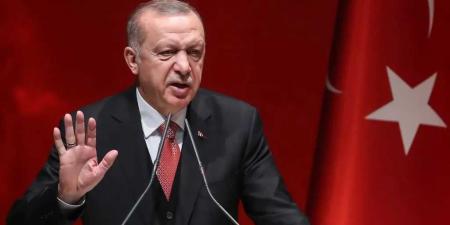 أردوغان: لا يمكن دفع الشعب الفلسطيني نحو نكبة تهجير جديدة - عرب فايف