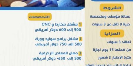 14 وظيفة جديدة في الخارج براتب يصل لـ750 دولارا.. اعرف كيفية التقديم - عرب فايف