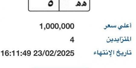 بوابة مرور مصر الإلكترونية تطرح لوحة سيارة بمليون جنية - عرب فايف