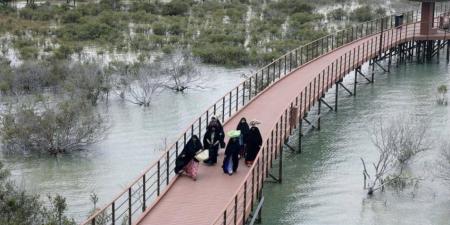 جسر بين الماضي والحاضر - عرب فايف