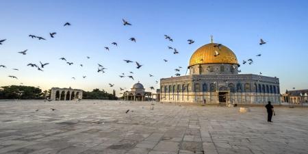 أوقاف القدس: مظلات في باحات المسجد الأقصى لحماية المصلين من البرد - عرب فايف