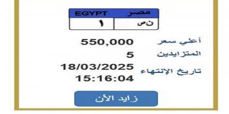 رقمها «ن ص 1».. التزايد على لوحة سيارة مميزة ينتهي غدًا - عرب فايف