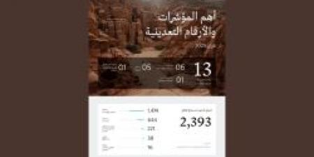13 رخصة تعدينية جديدة بالمملكة خلال فبراير 2025 لتعزيز قطاع التعدين - عرب فايف