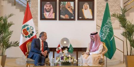 وزير الخارجية يناقش المستجدات الدولية مع نظيره البيروفي - عرب فايف
