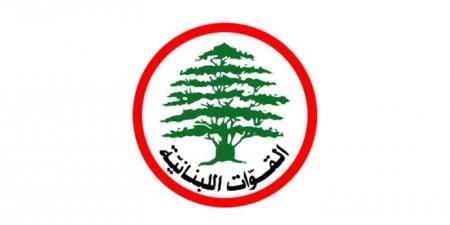 "القوات": سنخوض الانتخابات البلدية في زحلة ضمن لائحة "قلب زحلة" برئاسة سليم غزالة - عرب فايف