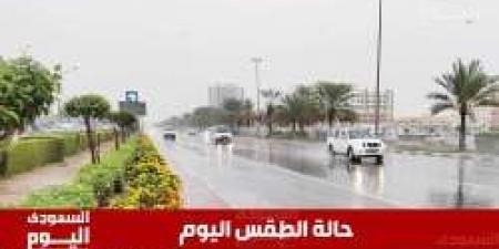 طقس السعودية اليوم الخميس 1 مايو 2025: أجواء شديدة الحرارة ورياح نشطة - عرب فايف