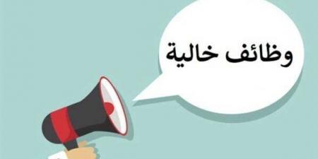 «الأعلى للجامعات» يعلن عن فرص عمل جديدة.. رابط وشروط التقديم - عرب فايف