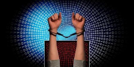 العقوبات التبعية في جرائم الإنترنت - عرب فايف