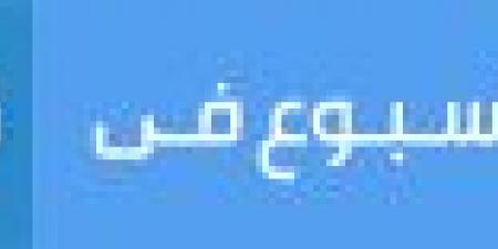 «البنك المركزي» يمرر زيادة طفيفة على عائد أذون الخزانة ويعقد عطاء جديدا غداً - عرب فايف