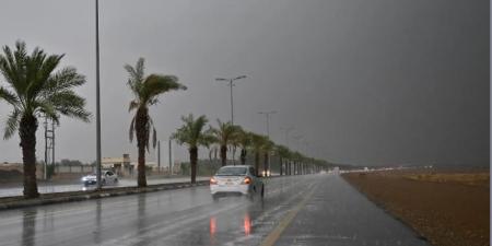 "الأرصاد": أمطار متوسطة ورياح شديدة على منطقة الباحة - عرب فايف