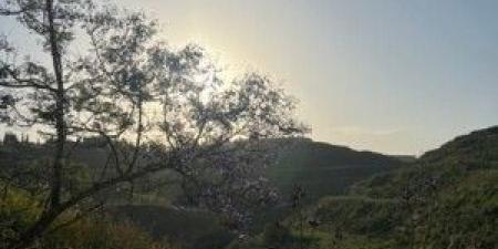 لبنان الذي لا يُدنى منه - عرب فايف