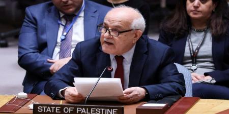 مندوب فلسطين لدى الأمم المتحدة يبعث برسائل متطابقة لأمميين بشأن العدوان الإسرائيلي على غزة - عرب فايف