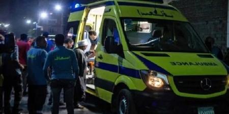 مصرع شابين دهساً اسفل سيارة نقل بالدقهلية  - عرب فايف