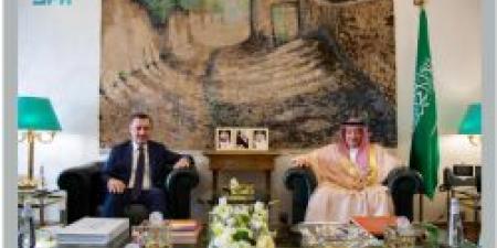نائب وزير الخارجية يستقبل سفير جمهورية تركيا لدى المملكة - عرب فايف