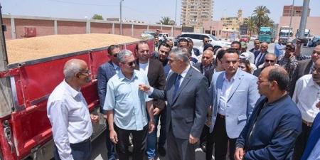 بحضورالمحافظ.. انطلاق موسم توريد القمح بالاسكندرية - عرب فايف