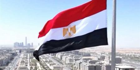 21 مصريا يتنازلون عن جنسيتهم للحصول على أجنبية - عرب فايف