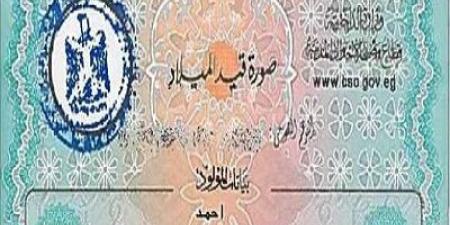 خطوات استخراج شهادة الميلاد عبر الإنترنت بسهولة - عرب فايف